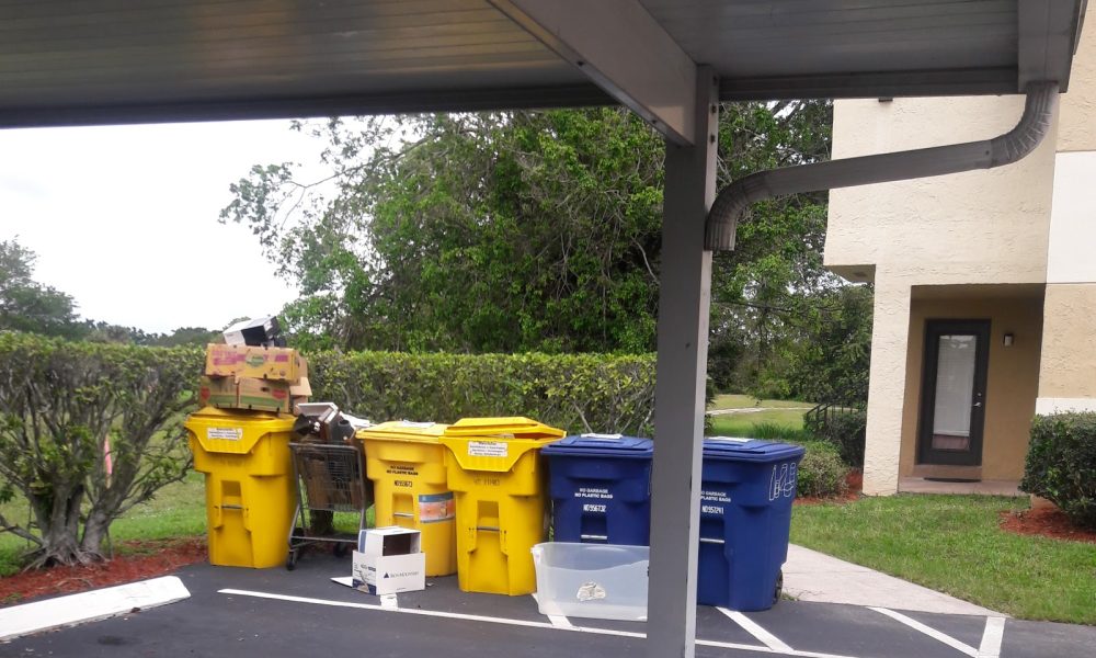 Palms of Boca Del Mar