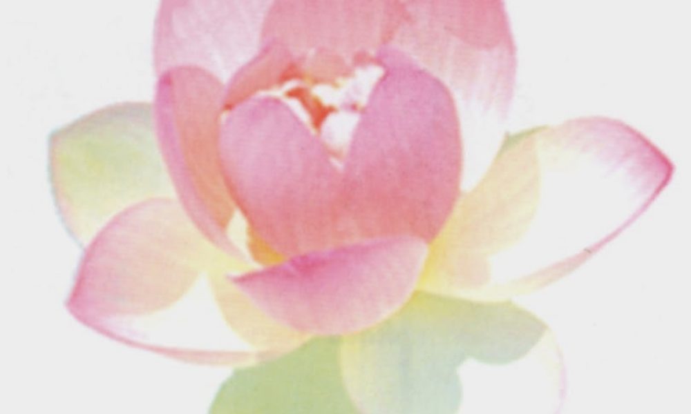 The Lotus Center of Oriental Medicine