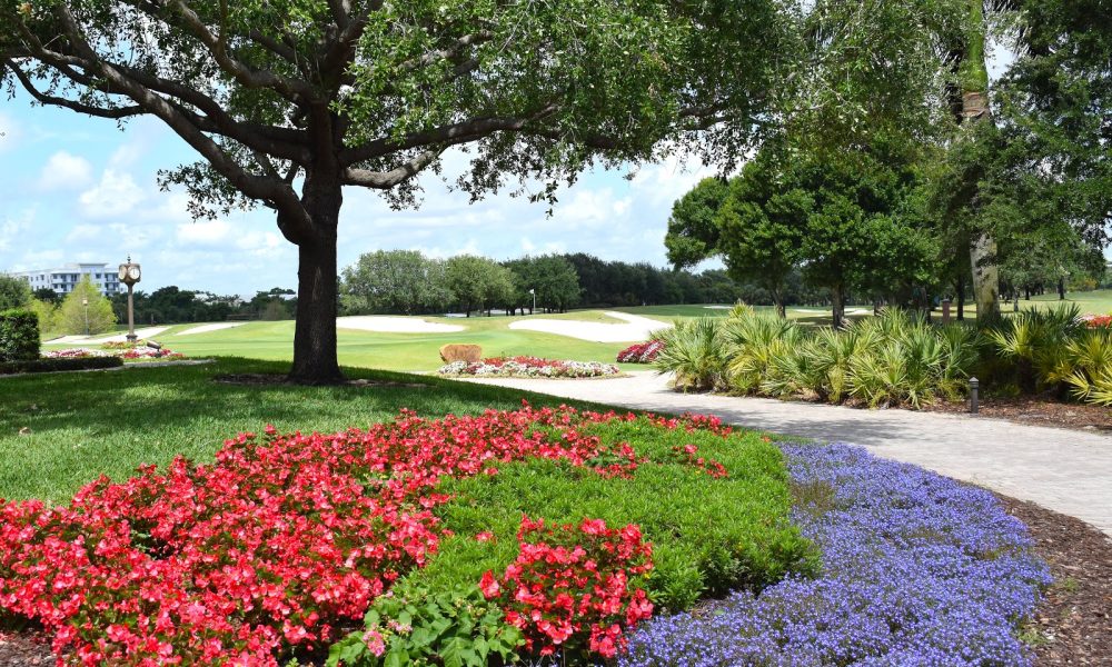 The Old Course at Broken Sound