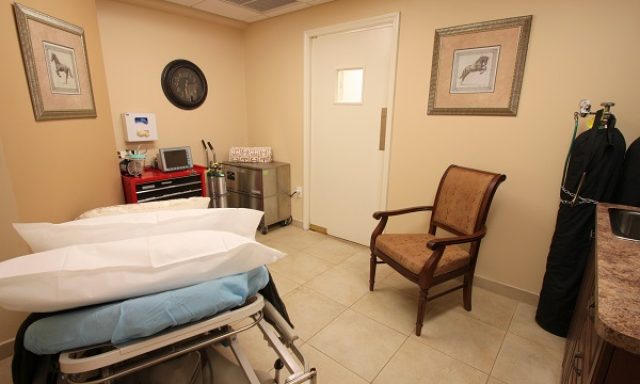 liv Plastic Surgery by Dr. Andrew Ress