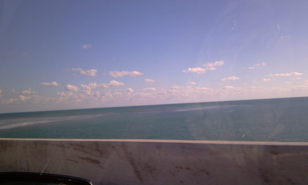 Channel Seafoods International