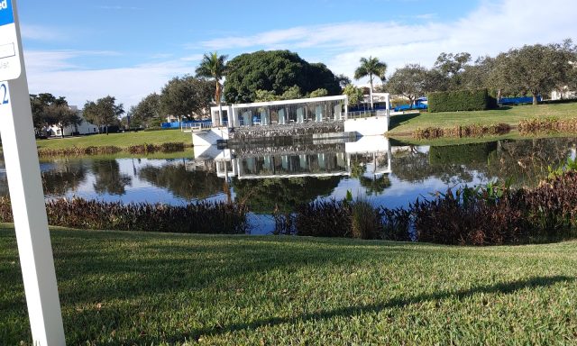 Lynn University