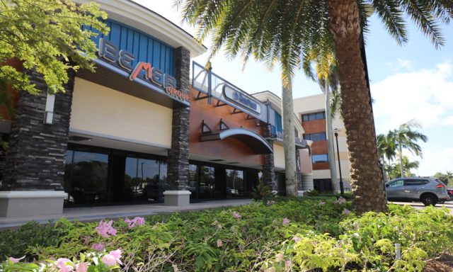 MG PUZZLE PIECES – ABA THERAPY