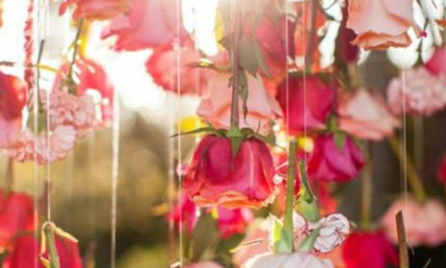 Psychic Love Advice By Sara