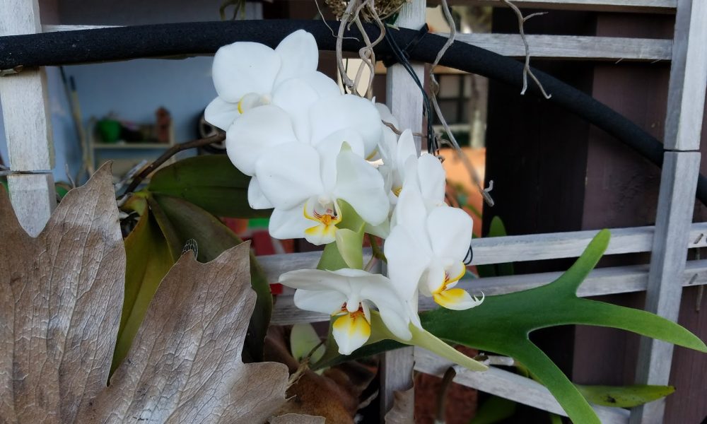 St. Jude Catholic School