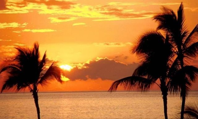 The Mortgage Firm, Inc