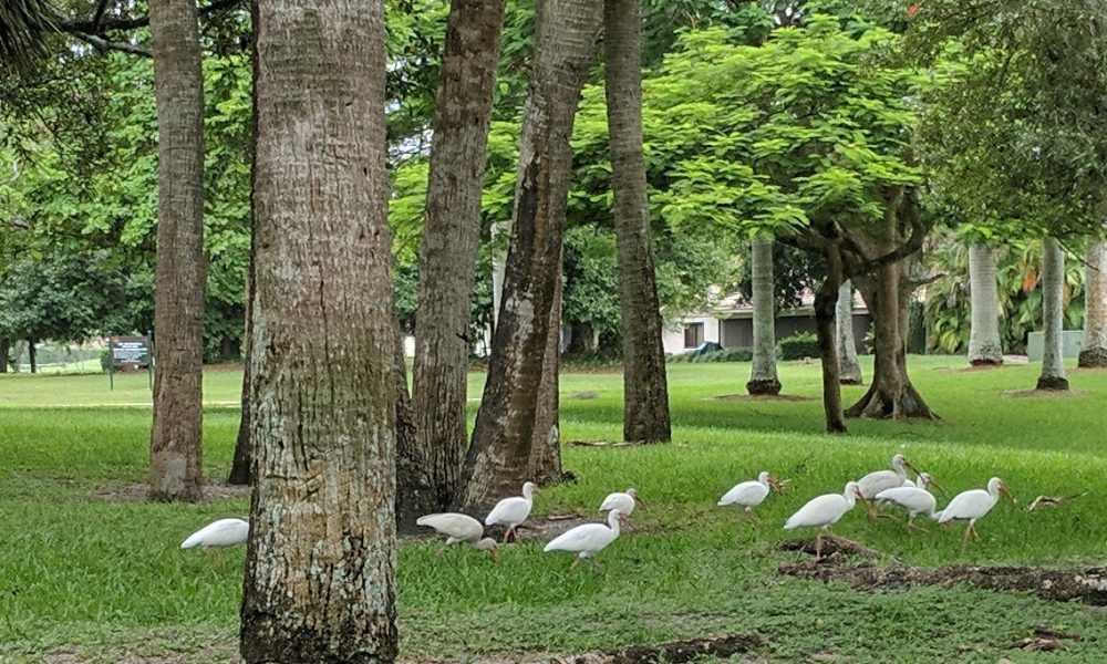 Via Mizner Golf & Country Club