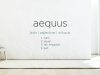 Aequus Partners Financial Planning