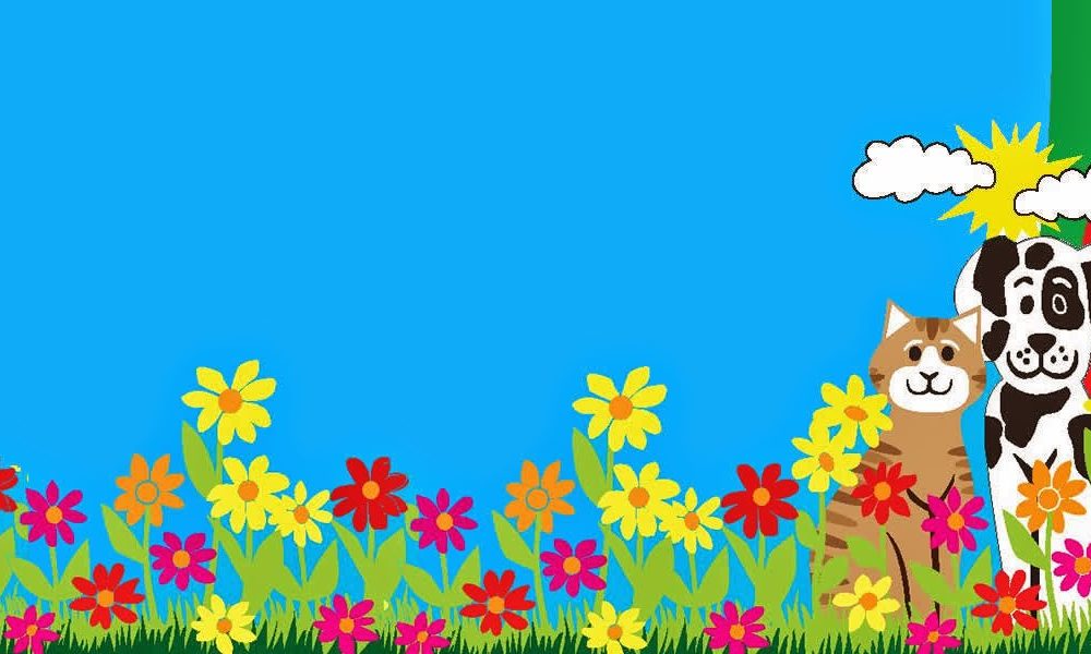 Boca Village Animal Hospital