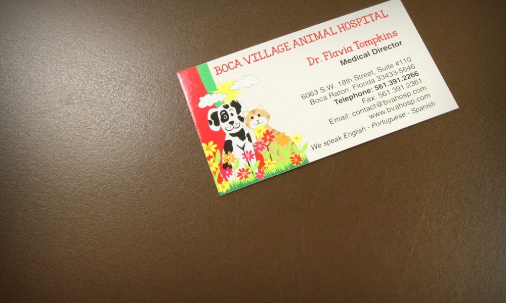 Boca Village Animal Hospital