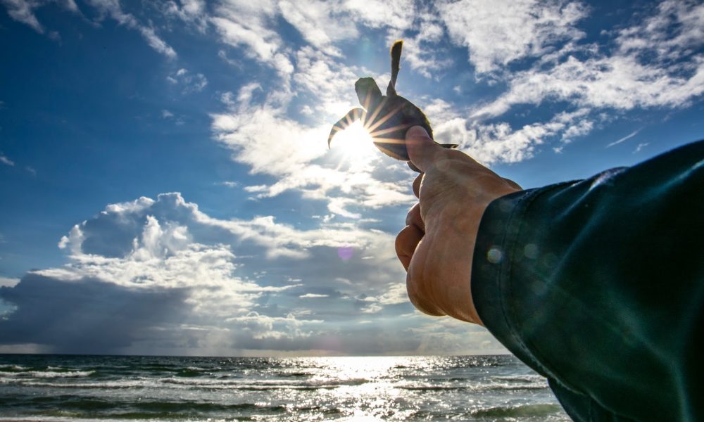 Charles E. Schmidt College of Science