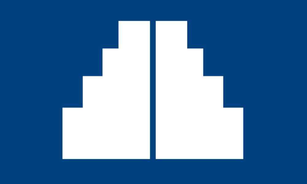 David Lerner Associates, Inc.