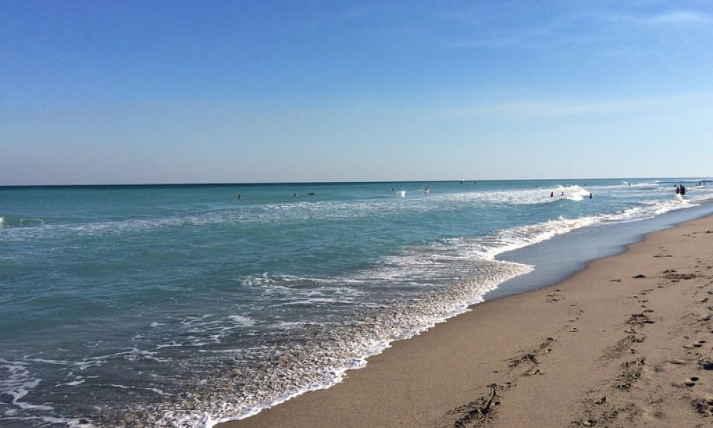 Holistic Coaching International