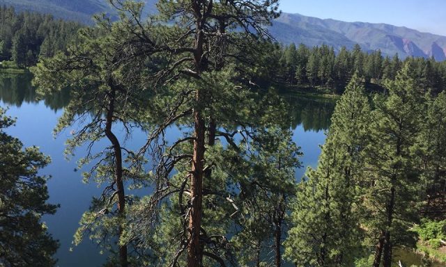 Jody L. Pflanzer LMFT, M Ed.