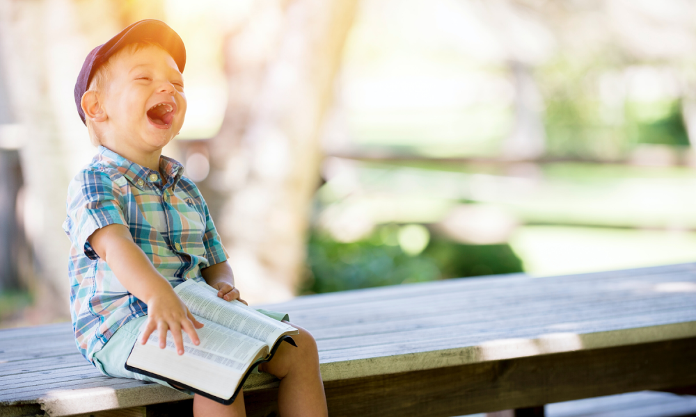 Law Offices of Robert L. Bogen