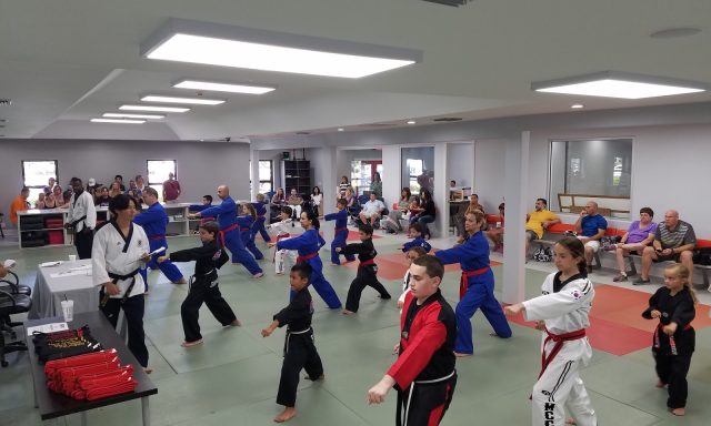 Parks Taekwondo Karate Federation – Boca Raton