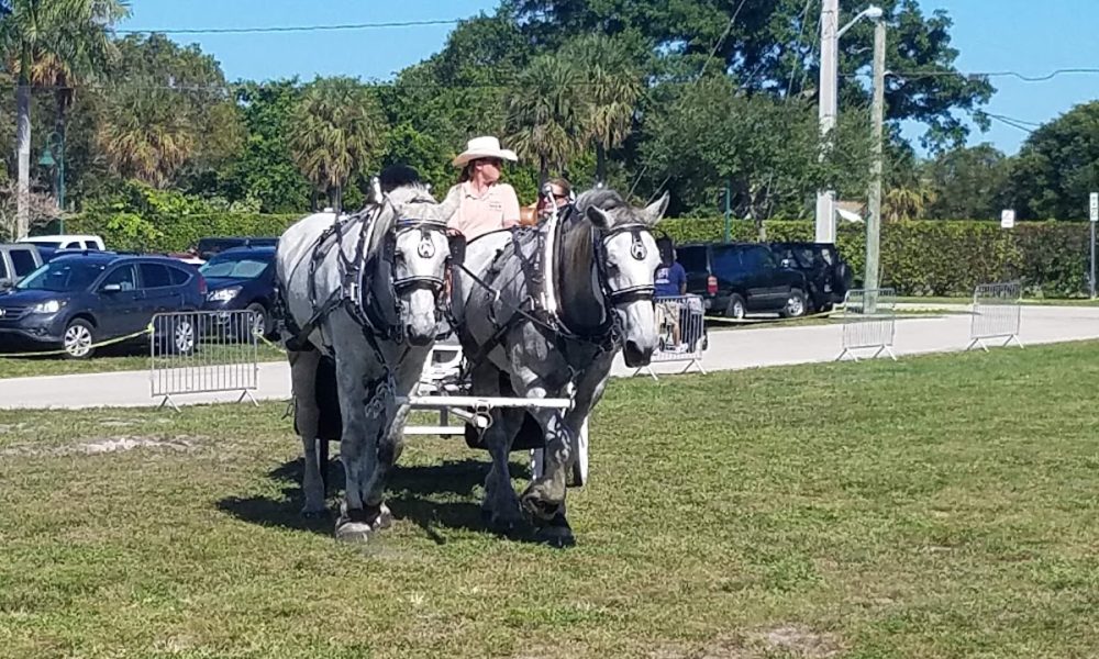 Pioneer Park Recreation Sprvsr