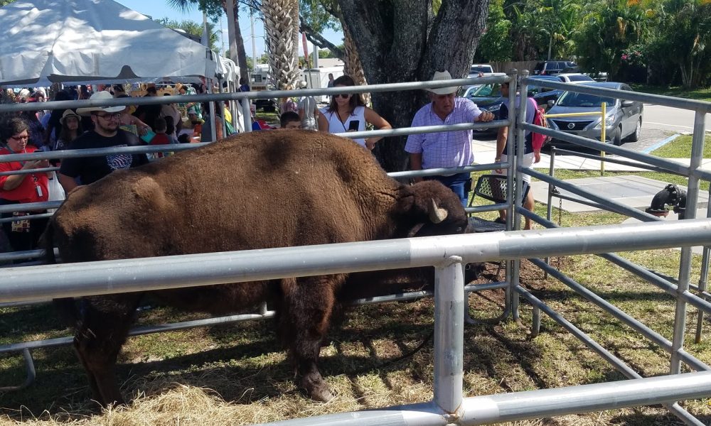 Pioneer Park Recreation Sprvsr