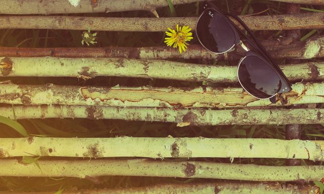 Salomon & Schwitzman