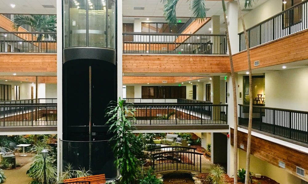 Seed To Tree Counseling Services