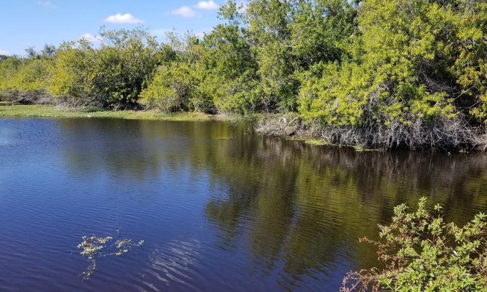 Woodfield Country Club