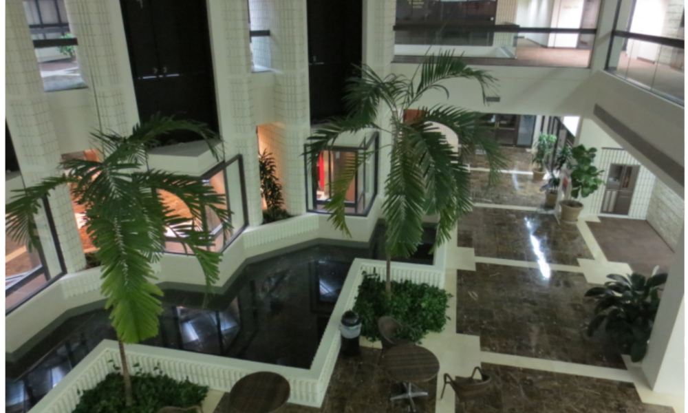 Actify Physiotherapy & Wellness