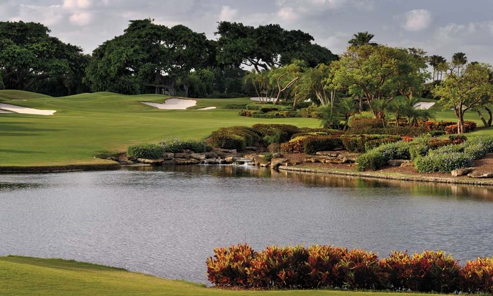 Ann Koplas, PA, Florida Real Estate Broker