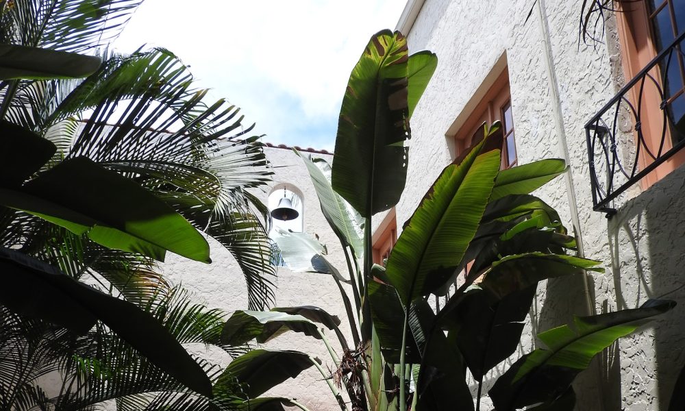 Boca Accounting LLC CPAs