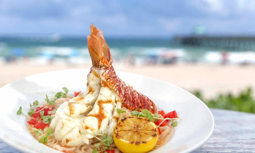 Boca Raton Photography and Design