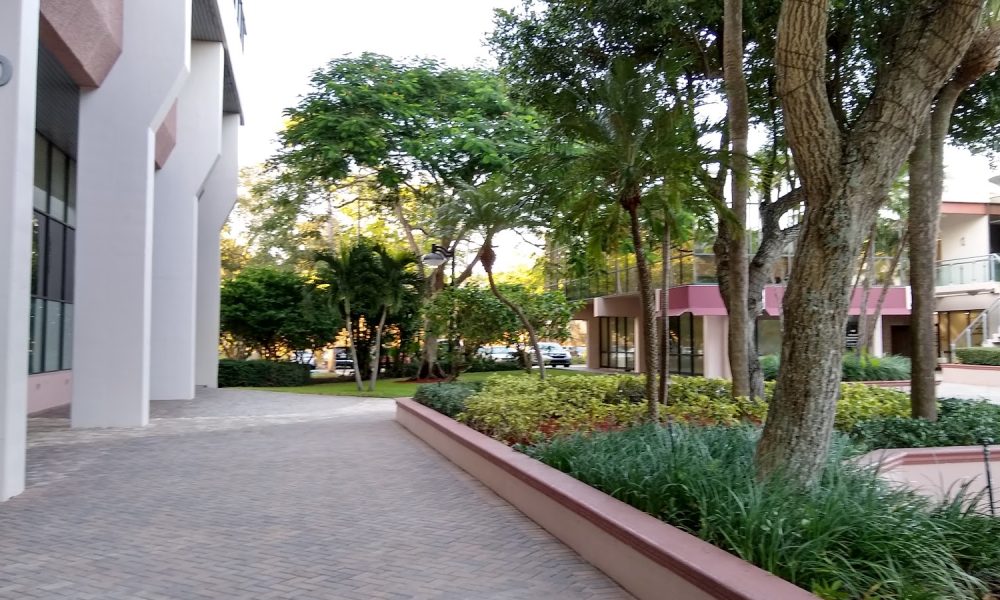 Business Coach, Keynote Speaker