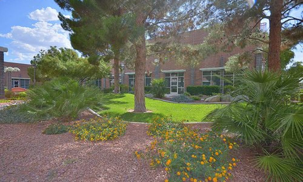 Business Coach, Keynote Speaker