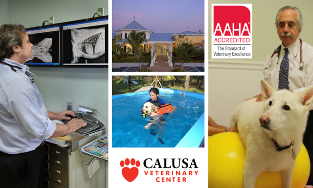Calusa Veterinary Center
