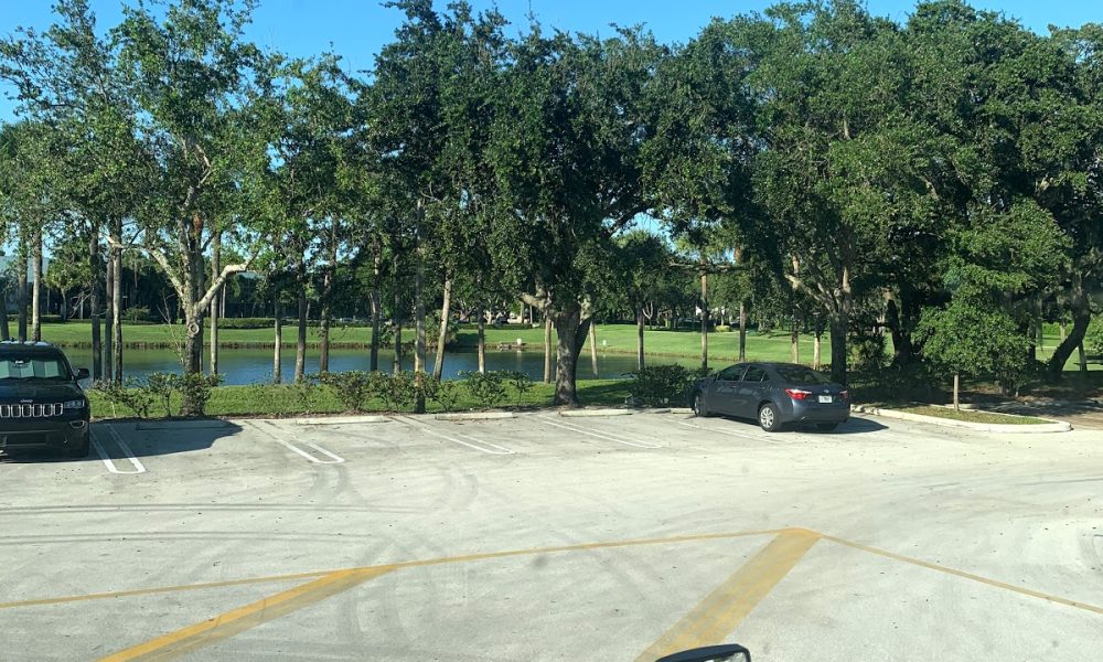 Cosmetic Solutions, LLC.