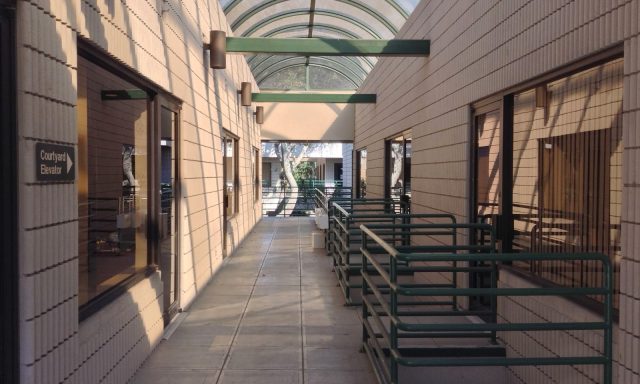 Dr Alexandra Lieberman