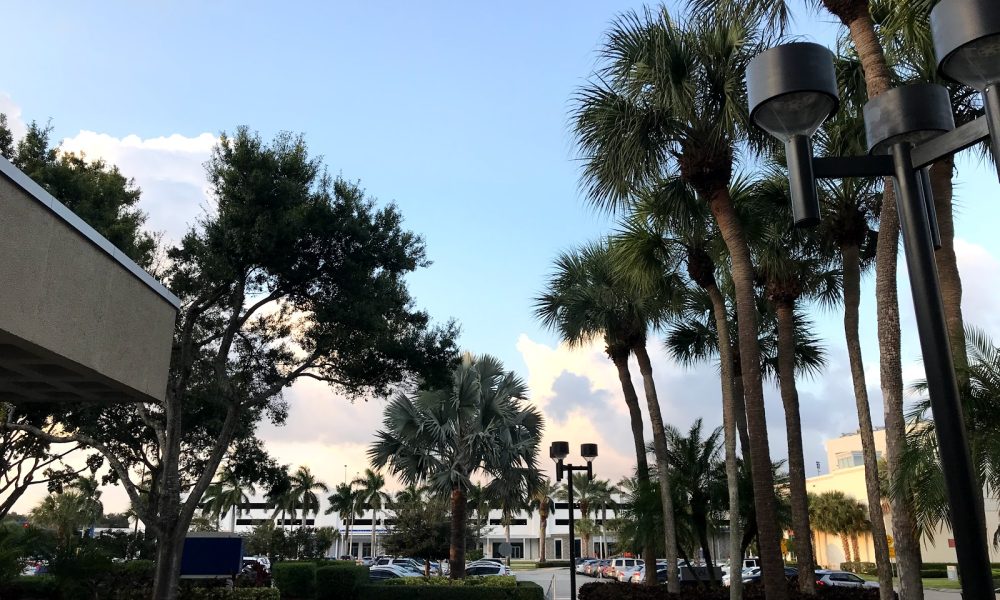 FAU College of Business