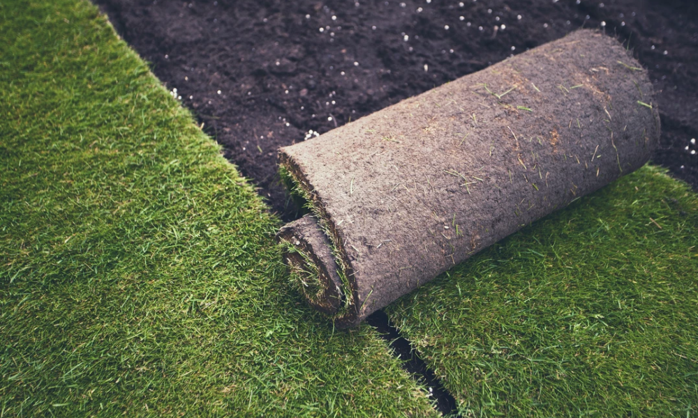 Janitorial Services C and G Inc