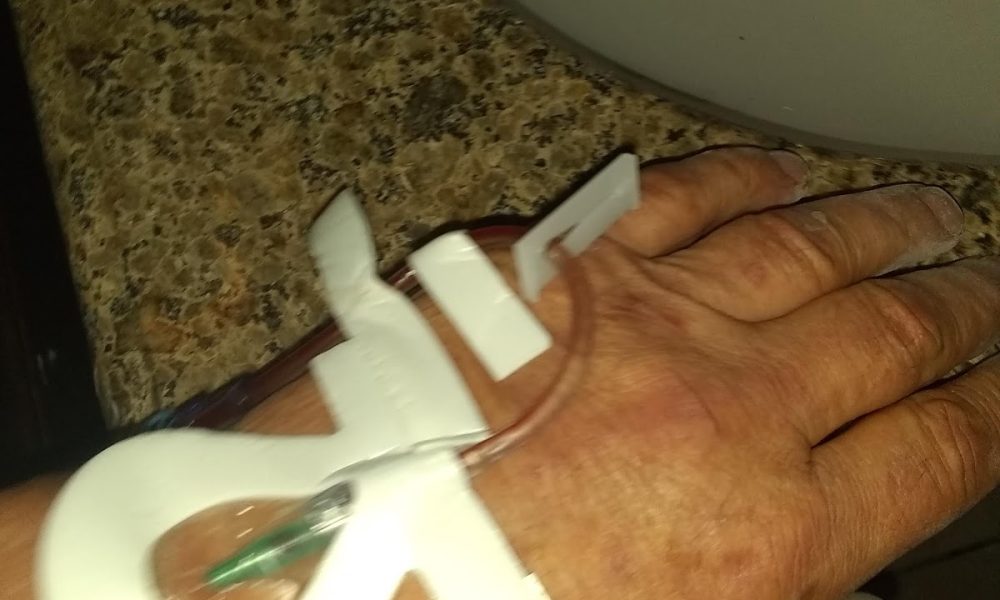 Raccoonsrus Animal Wildlife & Bee Experts