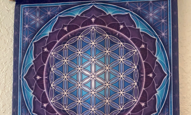 Robyn Berman LMHC CAP at Reach Higher Healing