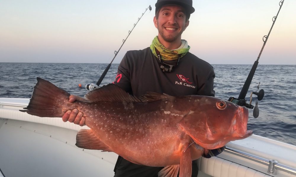 Sea Sea Marine Sales & Services