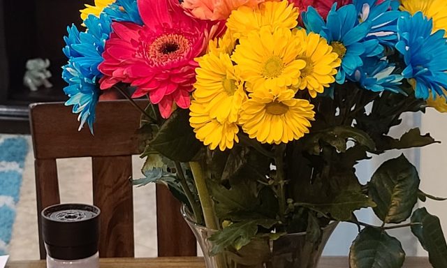 Senior Medical Solutions LLC