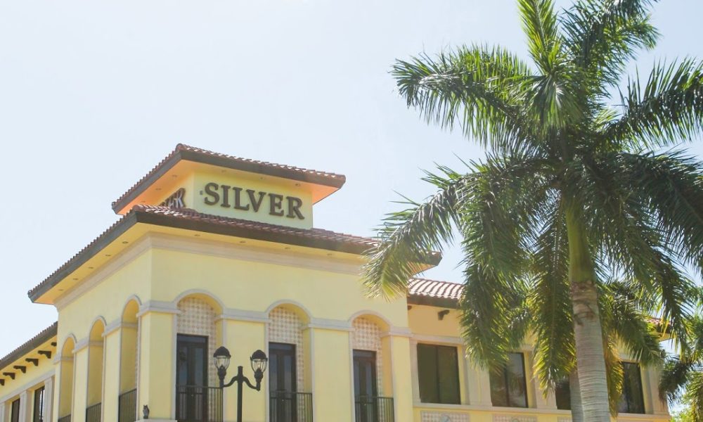 Silver Companies