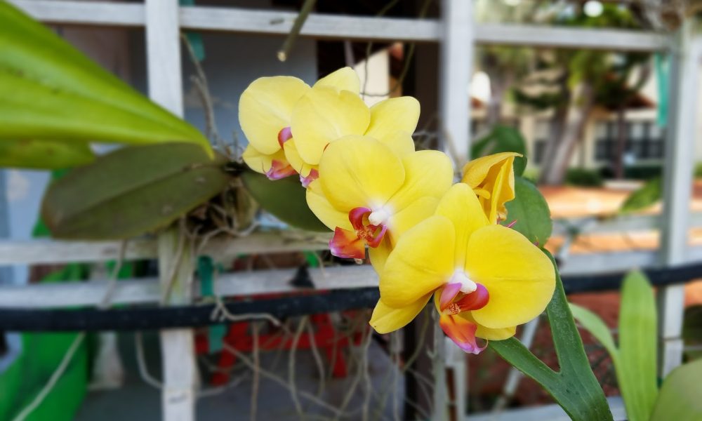 St. Jude Catholic School