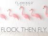 The Flamingo House