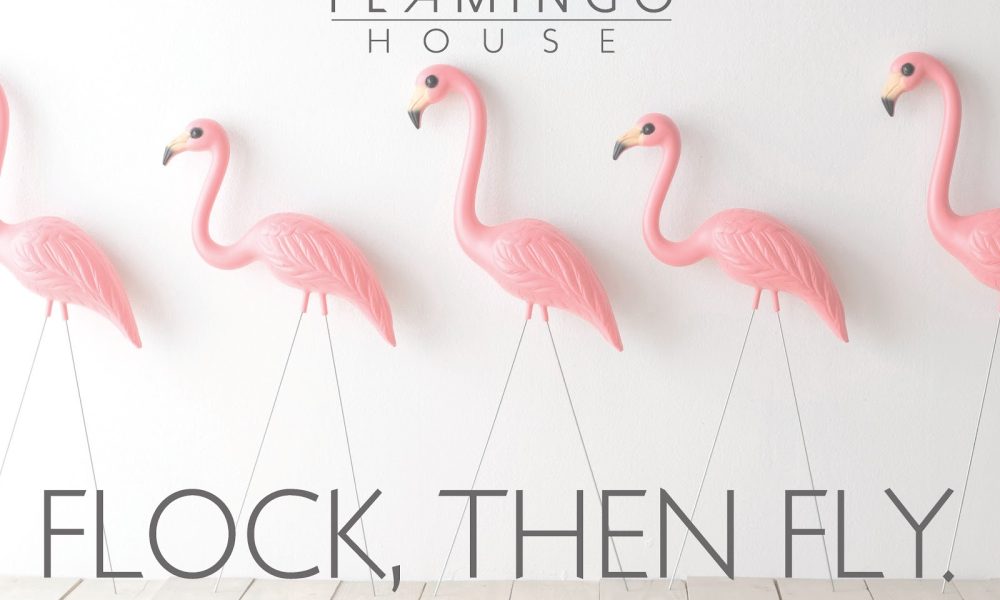 The Flamingo House