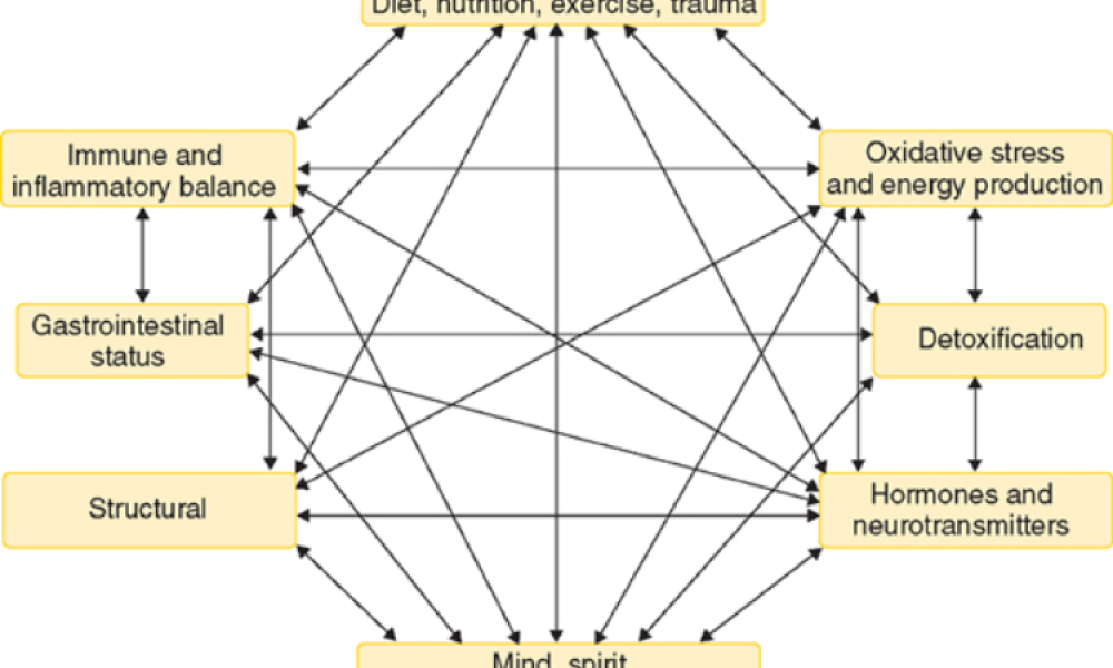 Vitality Spine & Wellness