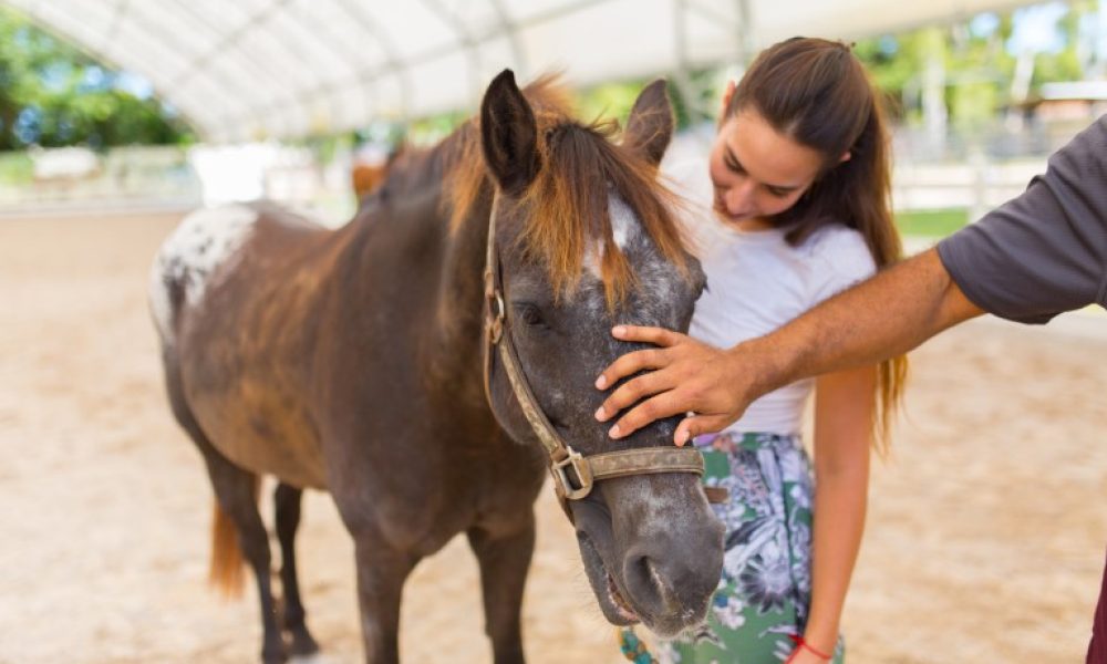 Wellness Resource Center