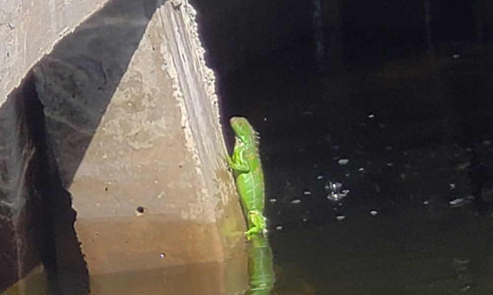 1371 N Ocean Blvd Parking