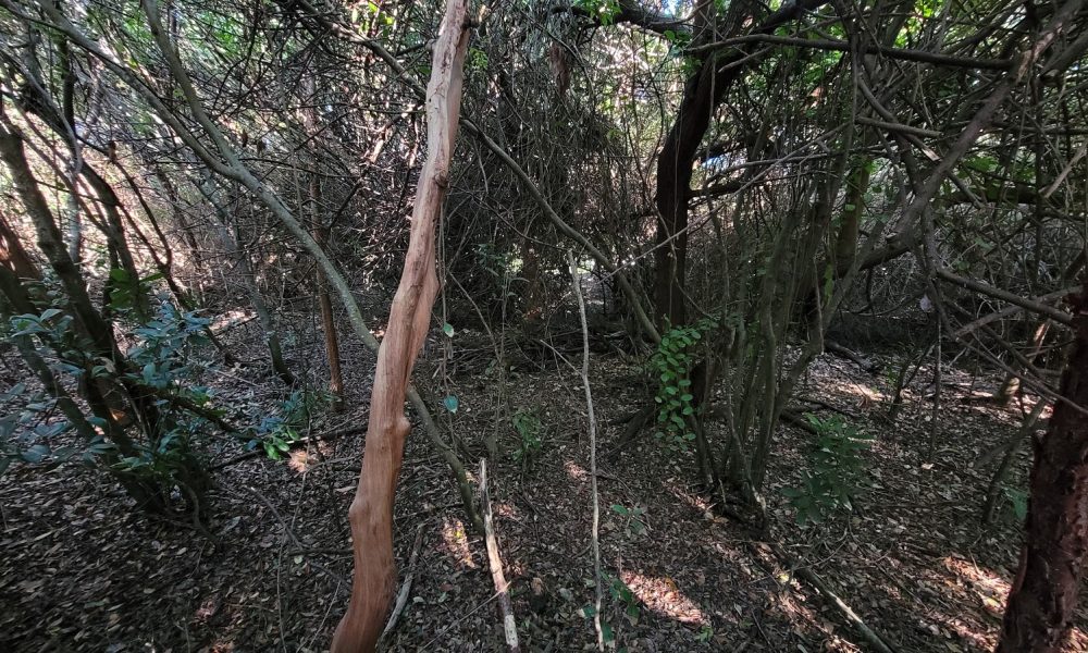 1371 N Ocean Blvd Parking