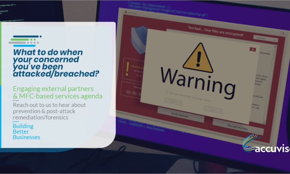 Accuvise Consulting, Inc.