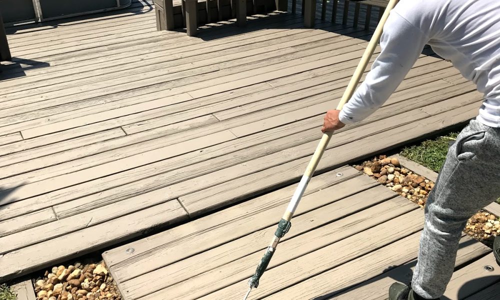 All Florida Colors Painting